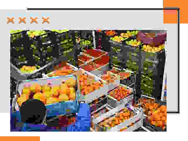 Перевозка скоропортящихся продуктов в Чапаевске